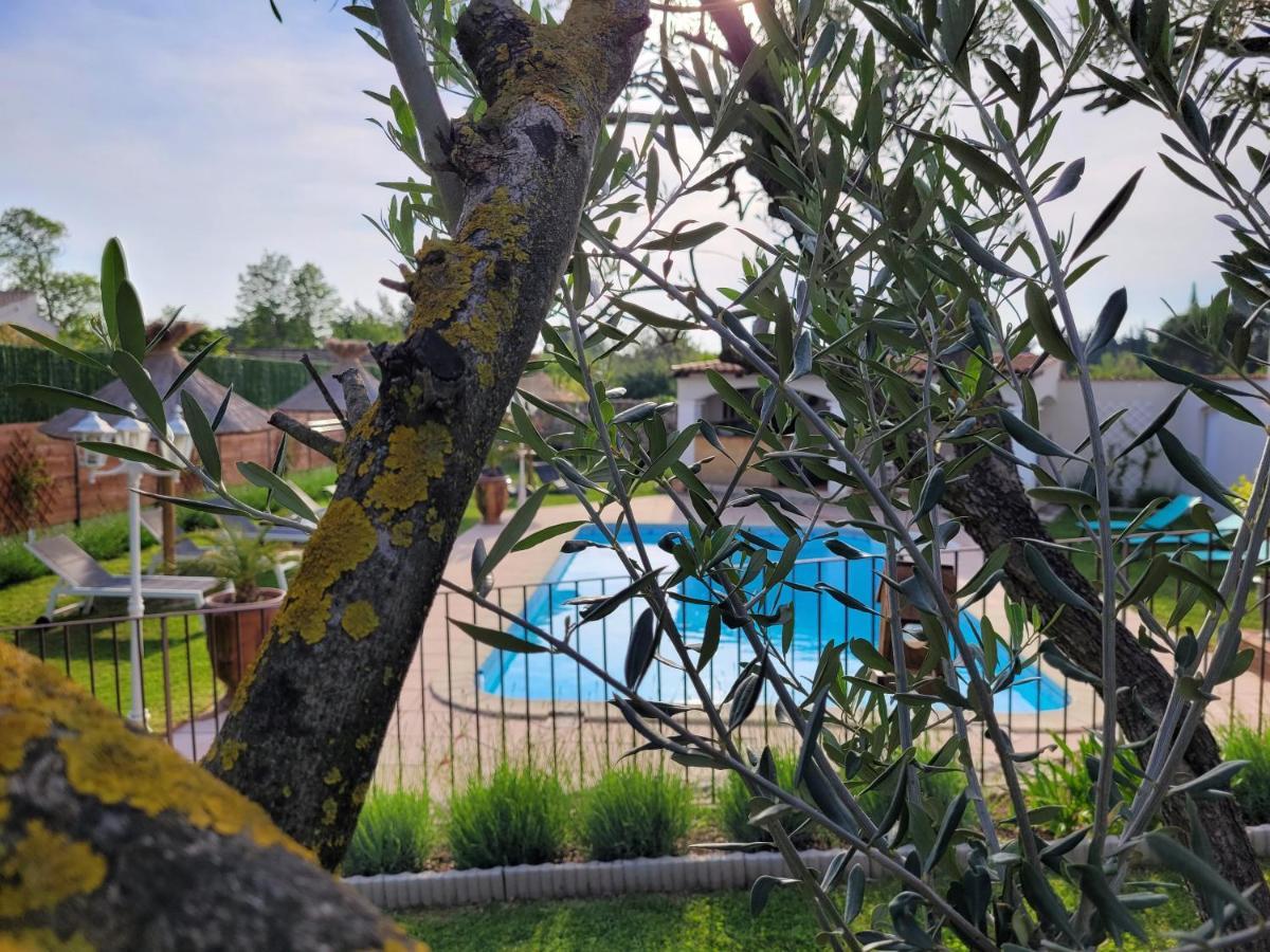 Les chambres d'hôtes d'Eloïse, piscine privée Aramon Esterno foto