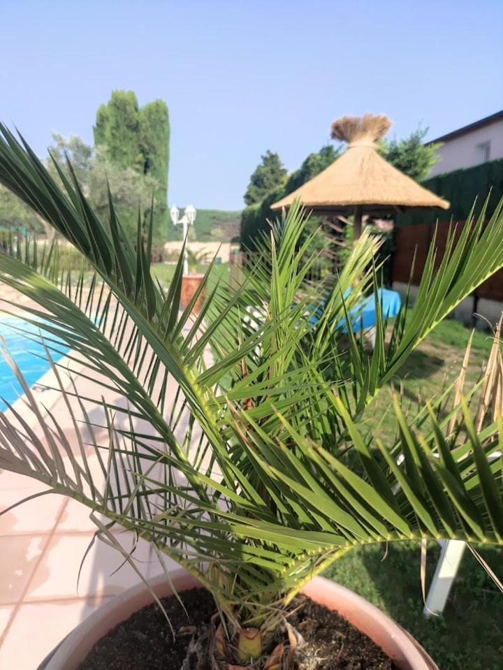 Les chambres d'hôtes d'Eloïse, piscine privée Aramon Esterno foto